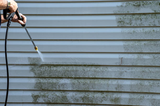 Best Basement Cleanout  in Burton, MI