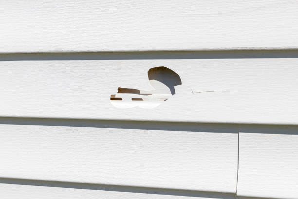 Best Residential Junk Removal  in Burton, MI