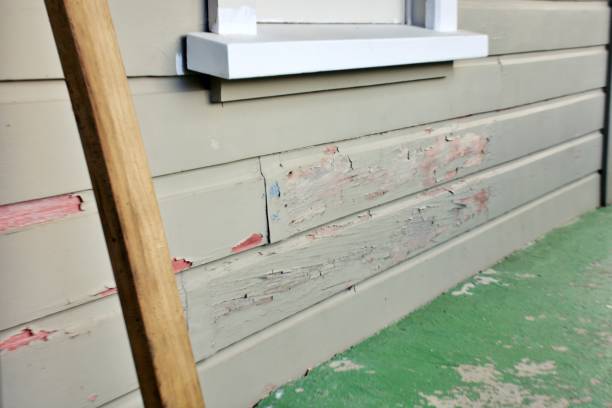Best Mattress Disposal  in Burton, MI